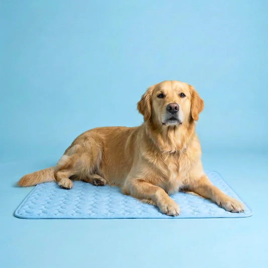 PawCool - Tapis Rafraîchissant pour Chien et Chat