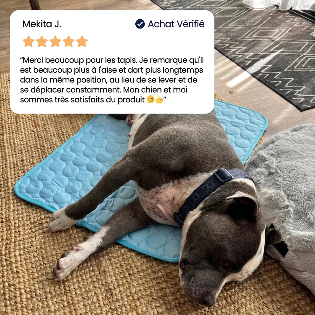 Pawcool: Alfombrilla Refrescante para Perros y Gatos